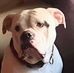 Steven Squires - Facebook