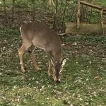 Steven Squires - @the.forrest_ - Instagram