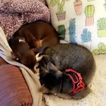 Steven Gene Stapp - @stevengenestapp - Instagram