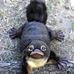 Steven Stapp - Facebook