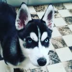 Steven Statham - @steven_statham - Instagram