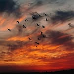steven statham - @steven.statham4 - Instagram
