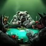 Steve Staton - @statonsteve - Instagram