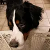 Steven Steffani¤■ - @steven.steffani6 - TikTok