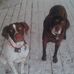 Steve Steinbach - Facebook