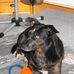 Stefan Steinbock - Facebook