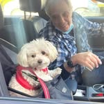 Steven Steinfeld - @sxstein - Instagram