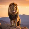 Steven steinfeld - @steven.steinfeld8 - TikTok