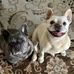 Steve Stell - Facebook
