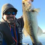 Steven Stockinger - @the_fishing_realm - Instagram
