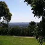 Steven Stocks - @stocks0372 - Instagram