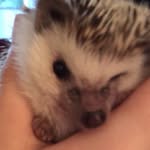 Steve Stoller - @super_steve275 - Instagram