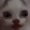 steven_stothard1 - @steven_stothard1 - TikTok