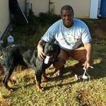 Steven St Pierre - @stevenstpierre - Instagram