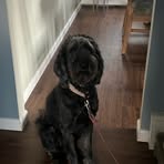 Steven Streeter - Facebook