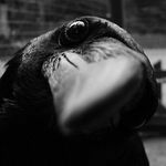 Steven Stringer - @starmartyr365 - Instagram