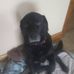Steve Stroschein - Facebook