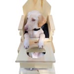 Steven Strout - @pet_freedom_ - Instagram