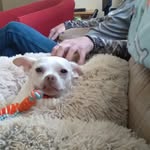 Steven Strout - @19wildfire63 - Instagram