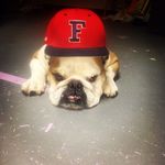 Steve Struble - @stevestrubleeee - Instagram