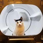 Steven Strumskas - @stevenstrumskas - Instagram