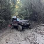 Steven Summerfield - @steven.summerfield - Instagram