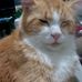 Steven Suski - Facebook