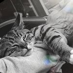Steven Switzer - @steven.switzer.7 - Instagram