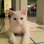 Steven Switzer - @oilsteve58 - Instagram