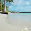 StevensY Mitchell - @stevensymitchell372372 - TikTok