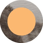 Steven Tachauer - @steventachauer - Instagram