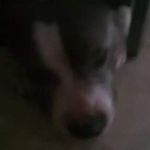 Steven Teal - @steven.teal.315428 - Instagram