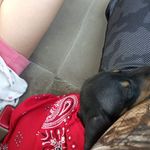 Steven Teal - @steven.teal.92 - Instagram