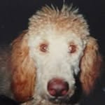 Steven Teitelbaum - @teitelbaumsteven - Instagram