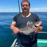 Steven Tessier - @steve_tessier - Instagram