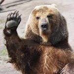 Steven Tessier - @stessier9 - Instagram