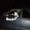 Steven Tessier - @steventessier - TikTok