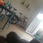 Steven Tessier - @steven49100 - Instagram