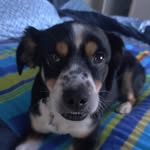 Steve Thometz - @stevethometz - Instagram