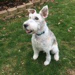 Steve Thorson - @thorsons54 - Instagram