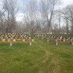 Steve Thorson - @thorson830 - Instagram