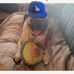 Steve Throneberry - Facebook