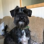 Steve Tibbs - @stevetibbs - Instagram