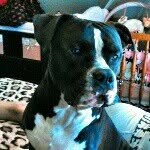 Brandyn Steven Tidrick - @brandyntidrick - Instagram