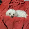 steventidwell - @stidwe - TikTok
