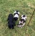 Stephen Timlin - Facebook