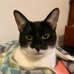 Steven Timmons - @steven.timmons.9 - Instagram