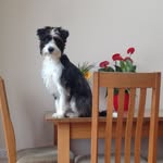 Steven Tindall - @tindall.steven - Instagram