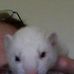 Steve Titchenal - Facebook