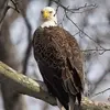 Steve Tittle - @steve.tittle - TikTok